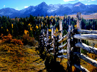 Fall Fence in the San Juans